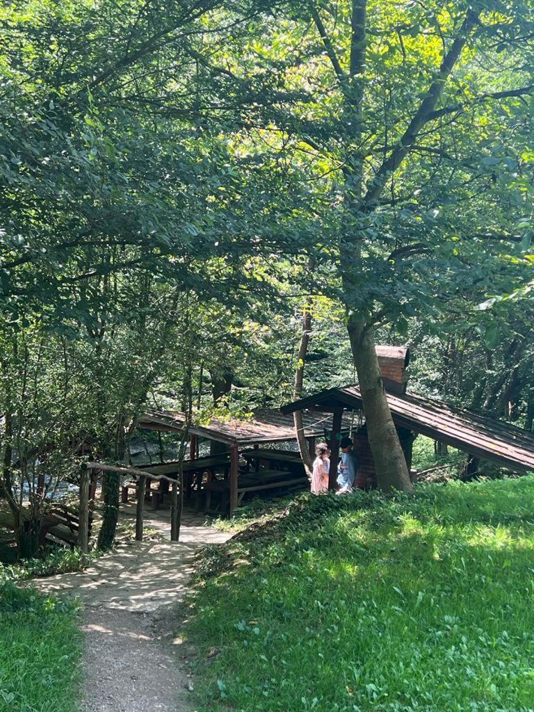 Pension Casa Vanatorilor Băile Olăneşti Eksteriør billede