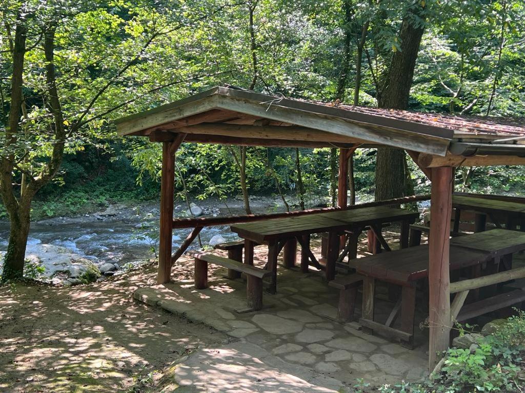 Pension Casa Vanatorilor Băile Olăneşti Eksteriør billede