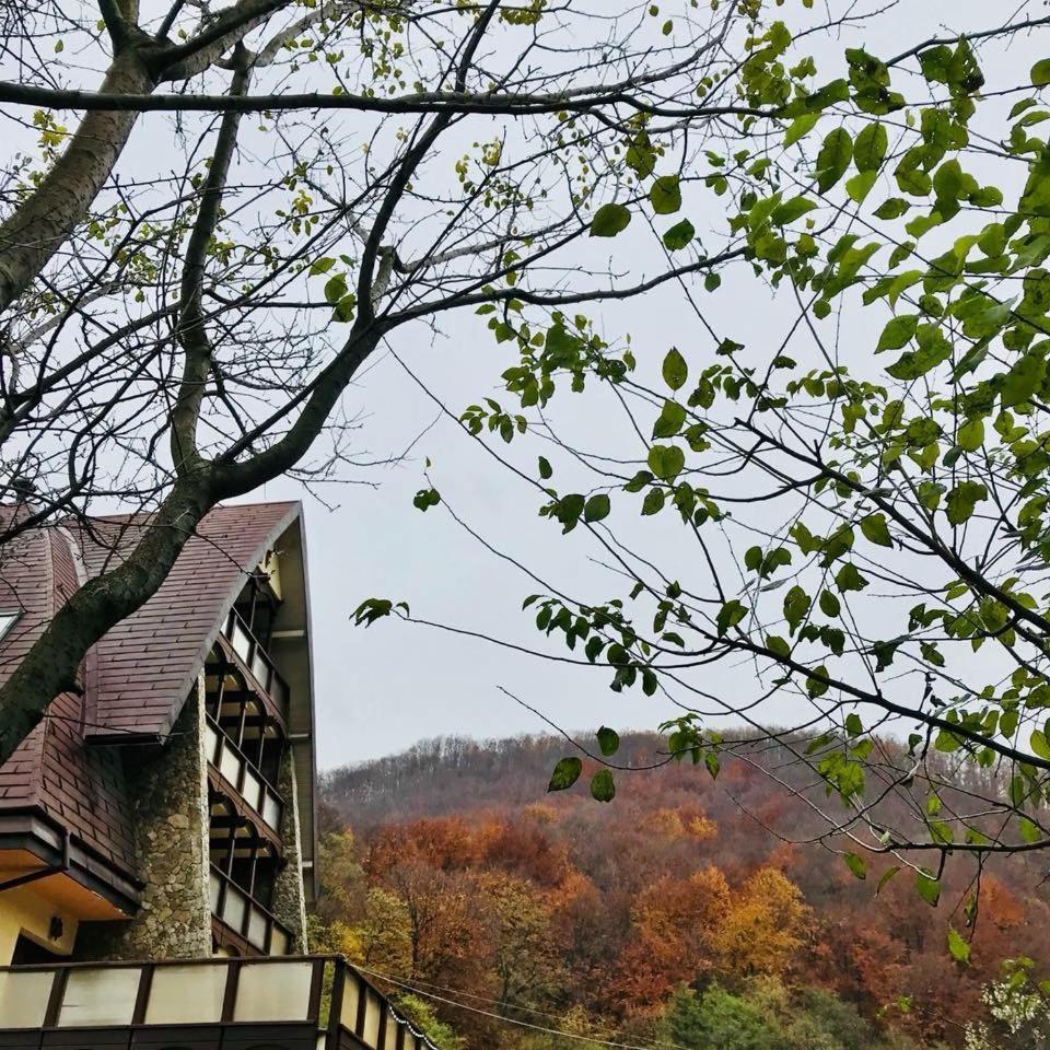 Pension Casa Vanatorilor Băile Olăneşti Eksteriør billede