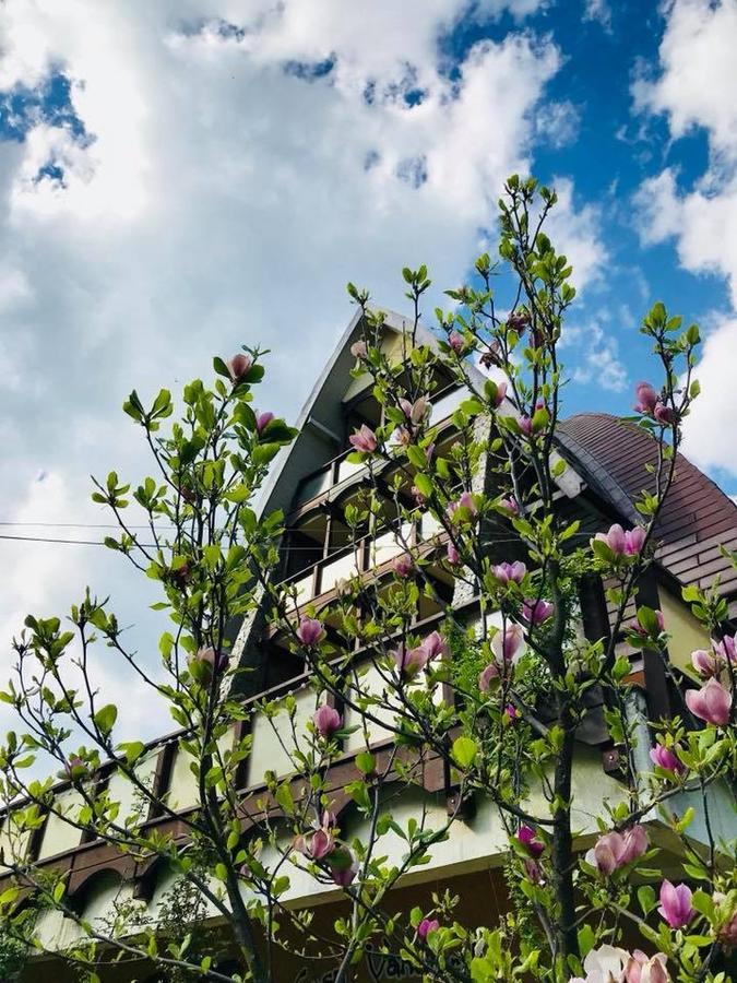 Pension Casa Vanatorilor Băile Olăneşti Eksteriør billede